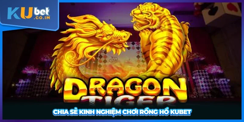 Chia sẻ kinh nghiệm chơi rồng hổ KUBET