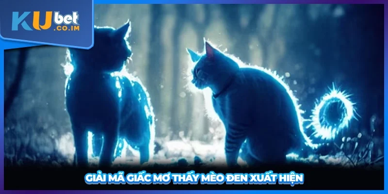 Giải mã giấc mơ thấy mèo đen xuất hiện