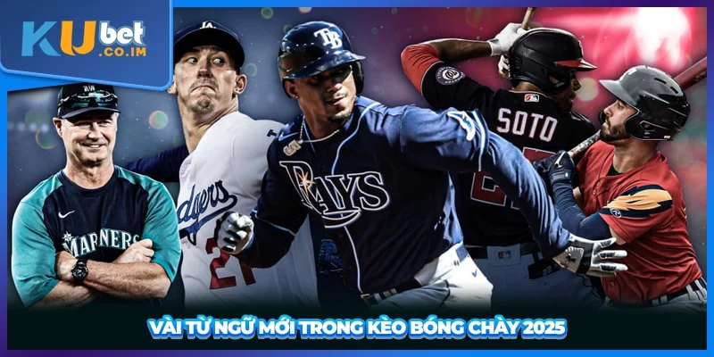 Vài từ ngữ mới trong kèo bóng chày 2025